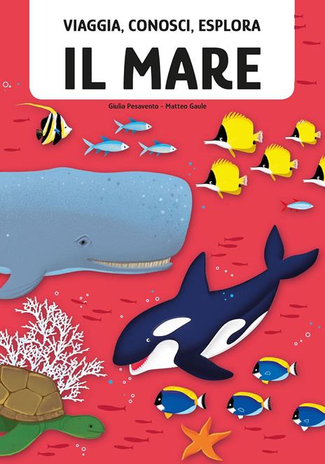 Il mare. Viaggia, conosci, esplora. Con puzzle. Con Poster - Matteo Gaule,Giulia Pesavento - 2