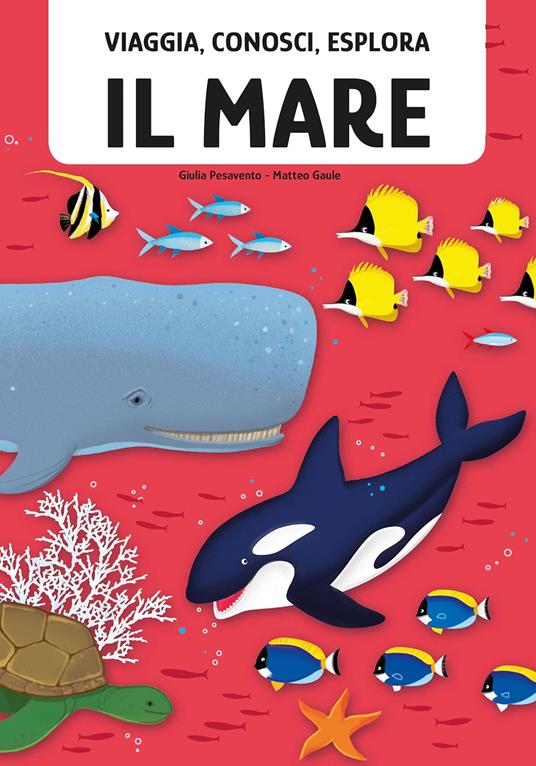 Il mare. Viaggia, conosci, esplora. Con puzzle. Con Poster - Matteo Gaule,Giulia Pesavento - 2