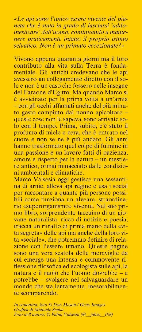 La vita segreta delle api - Marco Valsesia - 4