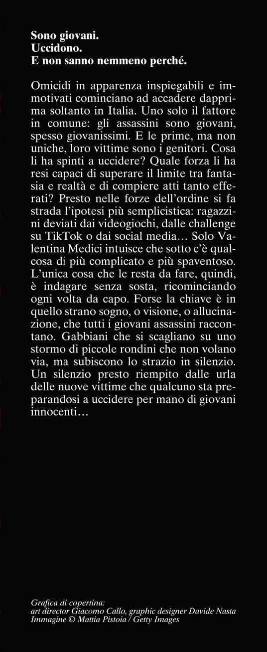 Il silenzio delle rondini - Marco De Franchi - 3