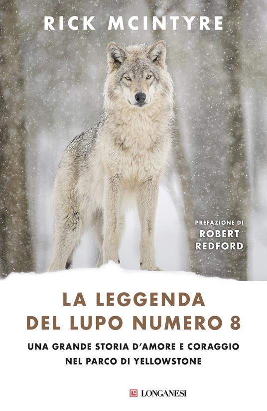 La leggenda del lupo Numero 8. Una grande storia d'amore e coraggio nel parco di Yellowstone - Rick McIntyre - copertina