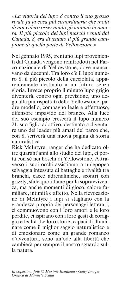 La leggenda del lupo Numero 8. Una grande storia d'amore e coraggio nel parco di Yellowstone - Rick McIntyre - 2