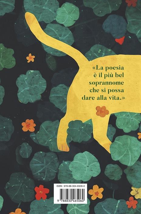 Il gatto del giardiniere - Thomas Schlesser - 5