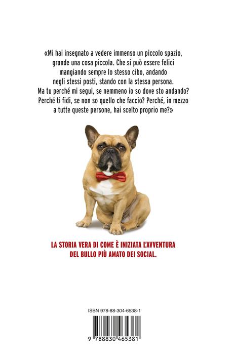 A spasso con Diesel. Storia di un incontro scritto nel destino - Roberta Laino - 5