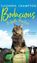 Bodacious. Il gatto pastore