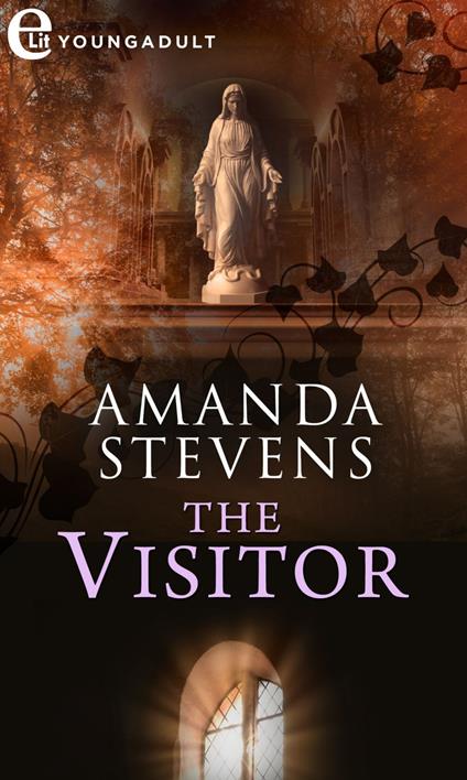 The visitor. La signora dei cimiteri. Vol. 4 - Amanda Stevens,Maria Barbara Piccioli - ebook