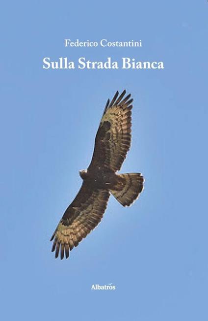 Sulla strada bianca - Federico Costantini - copertina