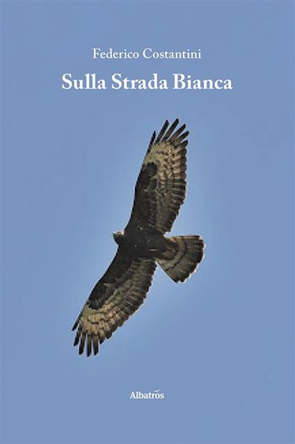 Sulla strada bianca - Federico Costantini - ebook