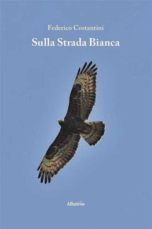 Sulla strada bianca - Federico Costantini - ebook