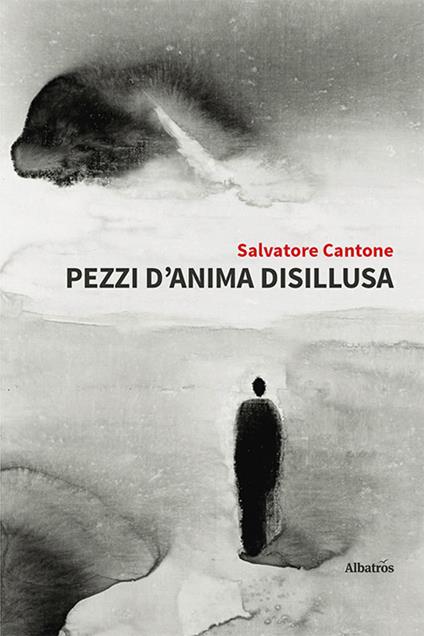 Pezzi d'anima disillusa - Salvatore Cantone - copertina