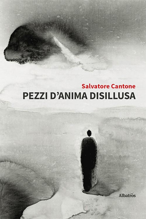 Pezzi d'anima disillusa - Salvatore Cantone - copertina