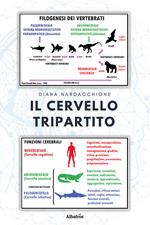 Il cervello tripartito