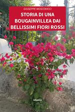 Storia di una bougainvillea dai bellissimi fiori rossi