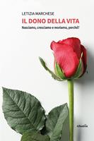 Nome prodotto