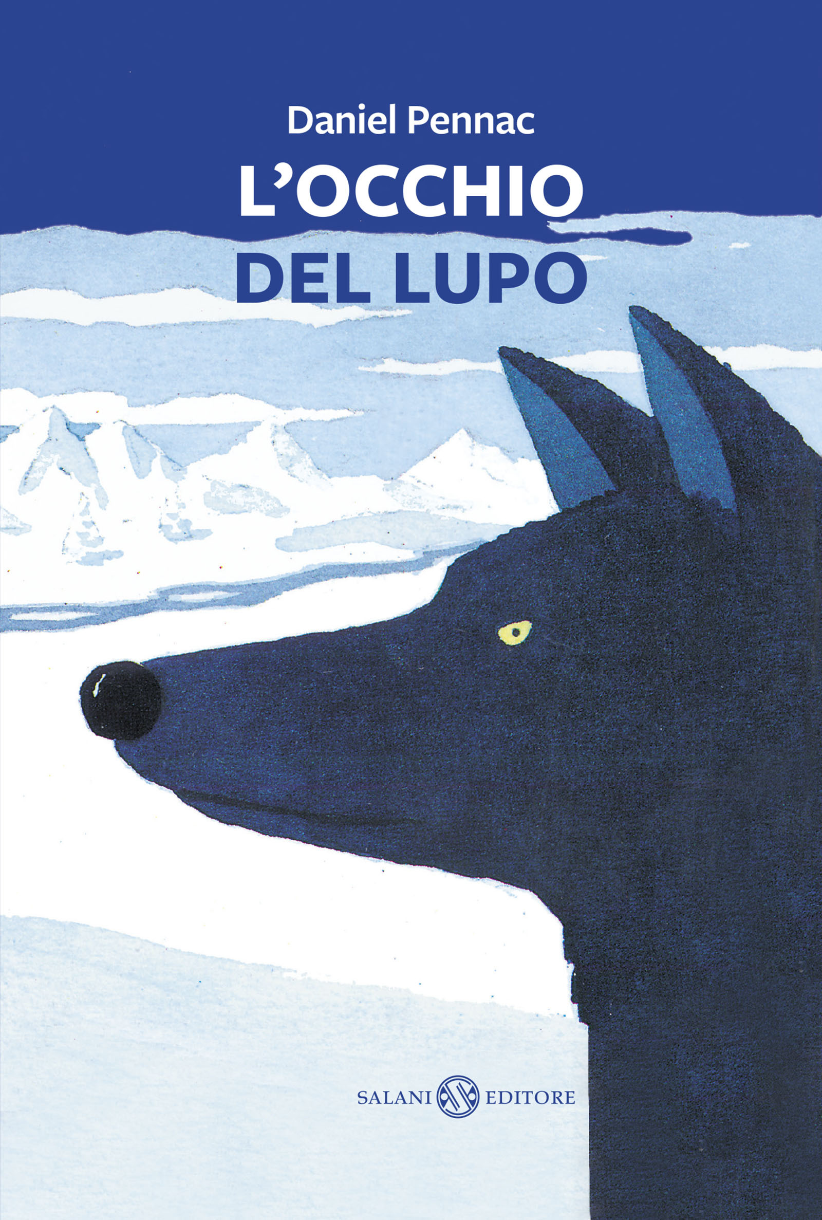 Libraccio