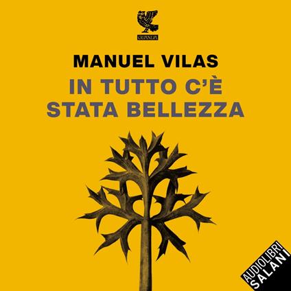 In tutto c'è stata bellezza
