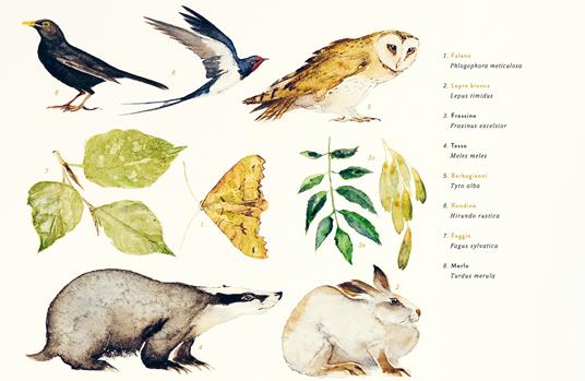 Il barbagianni, la volpe e la quercia - Robert Macfarlane - 2