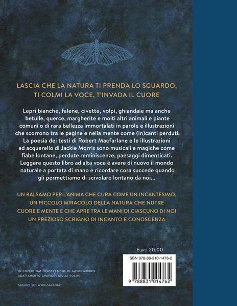 Il barbagianni, la volpe e la quercia - Robert Macfarlane - 5