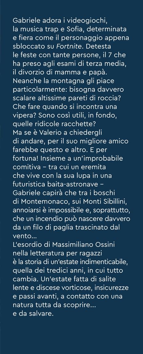 Amico. L'estate che cambiò tutto - Massimiliano Ossini - 2