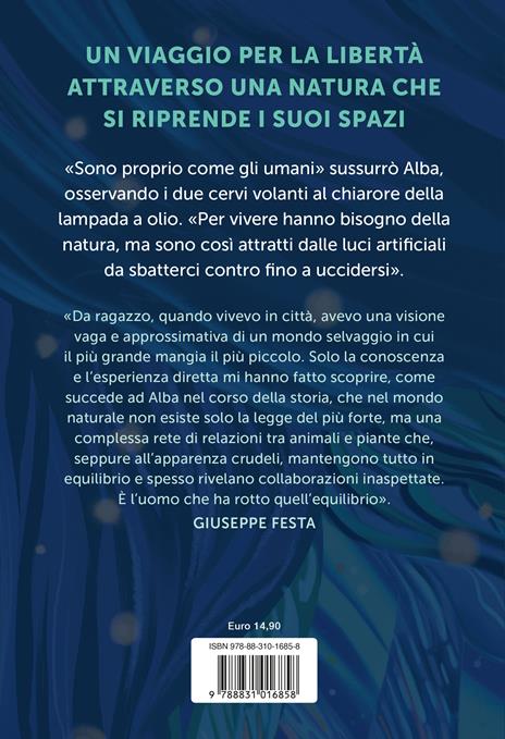La notte dei cervi volanti - Giuseppe Festa - 4