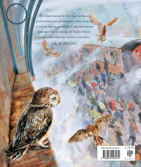 Harry Potter e la pietra filosofale. Ediz. a colori. Vol. 1 - J. K. Rowling - 2