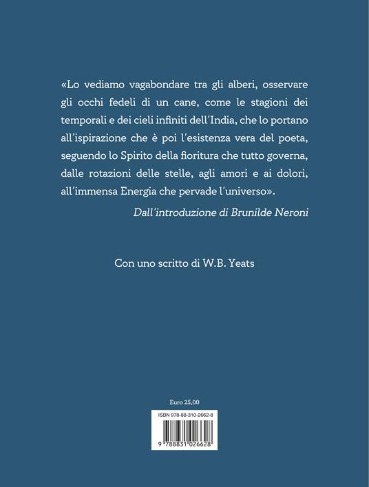 Dall'erba dei campi alle stelle del cielo - Rabindranath Tagore - 2
