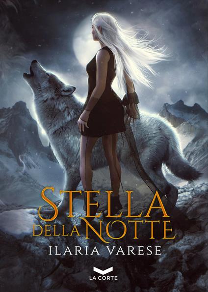 Stella della notte. Winter Fe' saga - Ilaria Varese - copertina