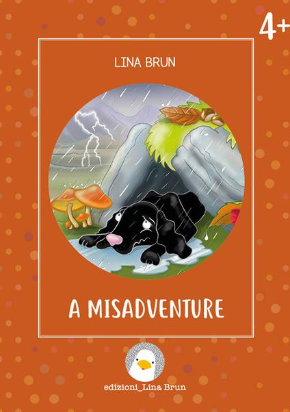 A misadventure. Ediz. illustrata - Lina Brun - copertina