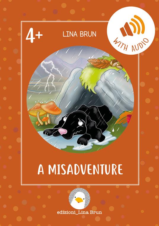 A misadventure. Con File audio per il download - Lina Brun - copertina