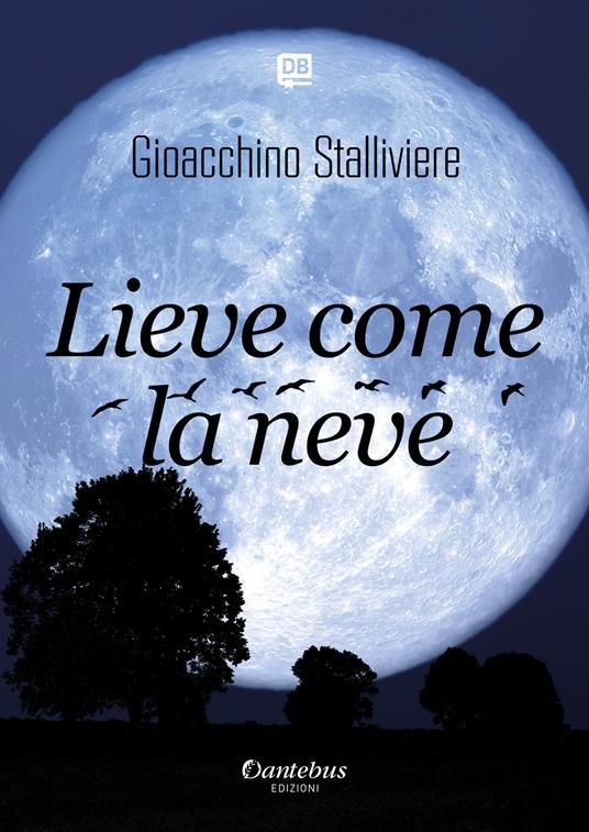 Lieve come la neve - Gioacchino Stalliviere - copertina