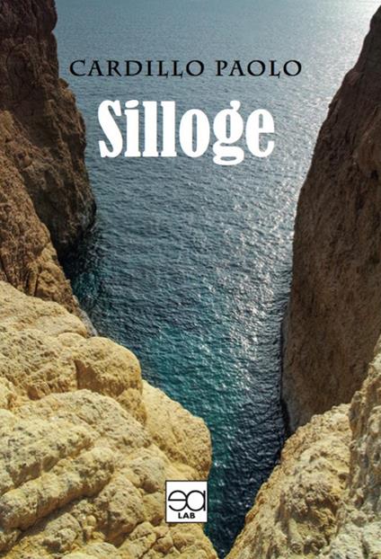 Silloge - Paolo Cardillo - copertina