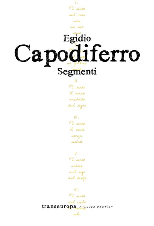 Segmenti - Egidio Capodiferro - copertina
