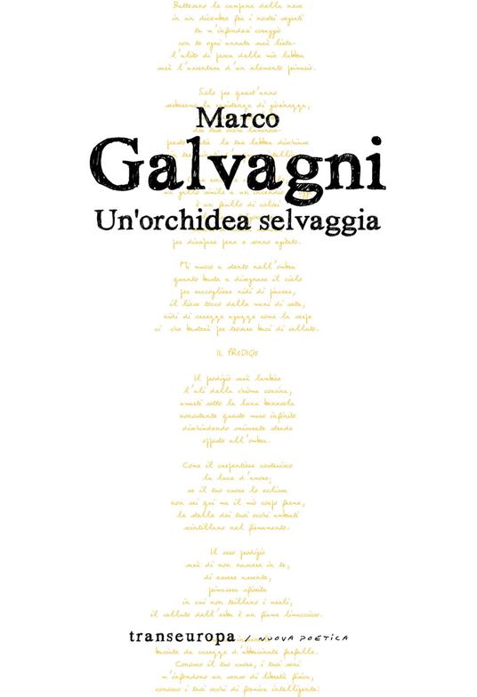 Un'orchidea selvaggia - Marco Galvagni - copertina