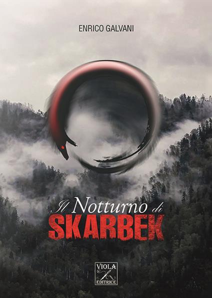 Il notturno di Skarbek - Enrico Galvani - copertina