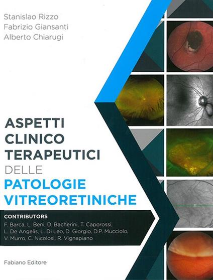 Aspetti clinico-terapeutici delle patologie vitreoretiniche. Ediz. illustrata - Stanislao Rizzo,Fabrizio Giansanti,Alberto Chiarugi - copertina