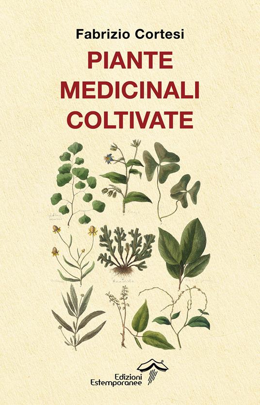 Piante medicinali coltivate - Fabrizio Cortesi - copertina