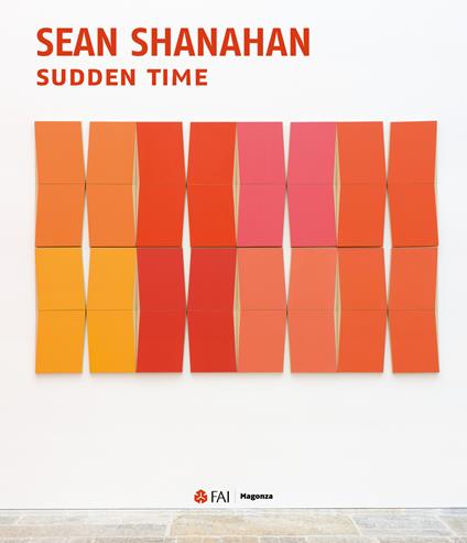 Sean Shanahan. Sudden time. Ediz. inglese - copertina