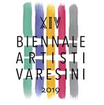 L' arte degli elementi. 14ª Rassegna Biennale artisti varesini. Ediz. illustrata