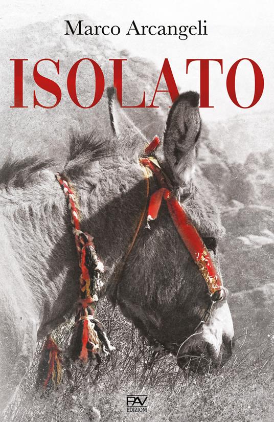 Isolato - Marco Arcangeli - copertina