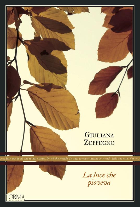 La luce che pioveva - Giuliana Zeppegno - copertina