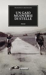Un gaio muoversi di stelle