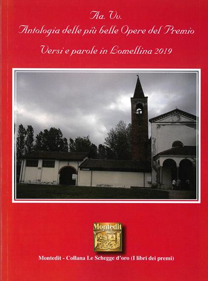 Antologia delle più belle opere del Premio Versi e parole in Lomellina 2019 - copertina