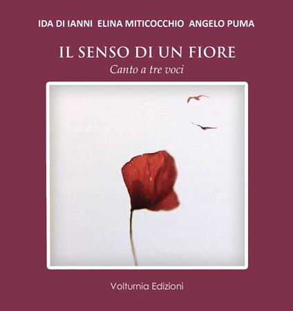 Il senso di un fiore. Canto a tre voci - Ida Di Ianni,Elina Miticocchio,Angelo Puma - copertina
