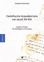 Castelluccio Acquaborrana Nei secoli XV-XVI. Capitoli e grazie dei Montagano e De Capua