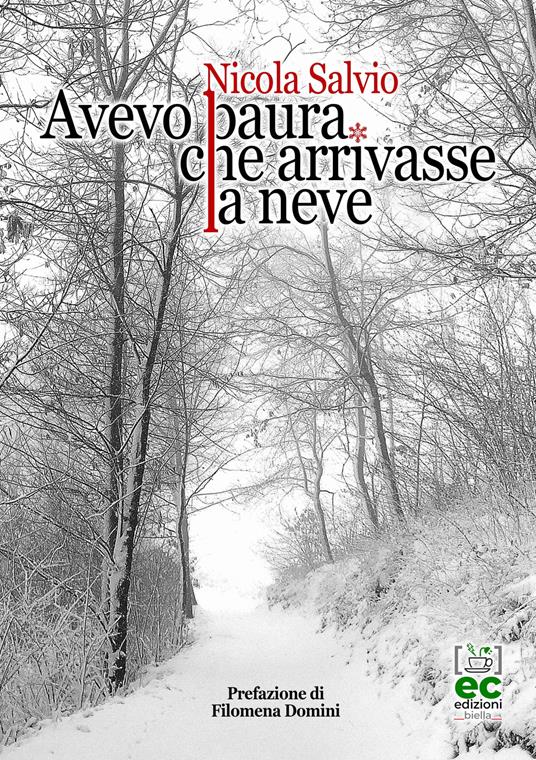 Avevo paura che arrivasse la neve - Nicola Salvio - copertina