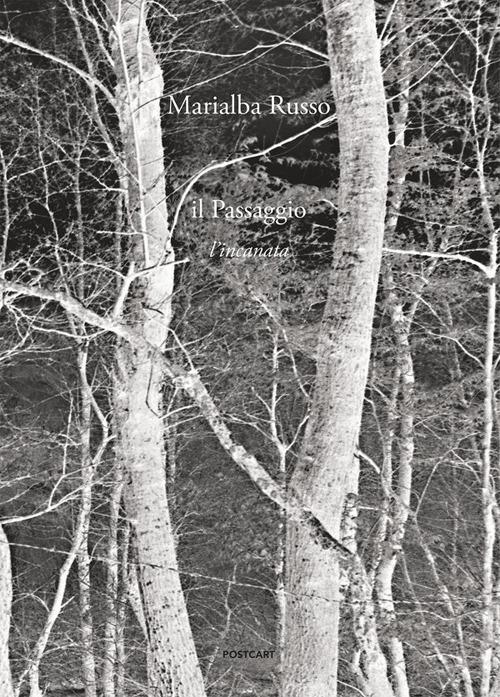 Il passaggio. L'incanata. Ediz. italiana e ingle - Marialba Russo - copertina