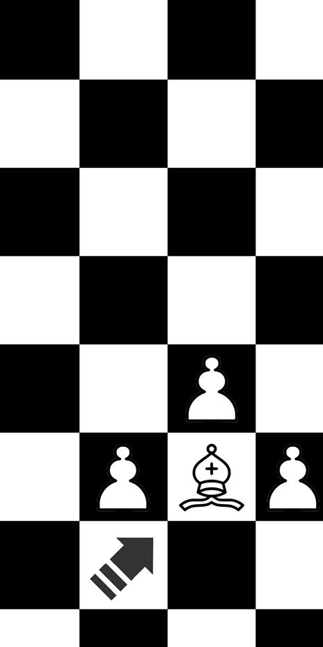 Scacco matto allo zar - Garry Kasparov - 3