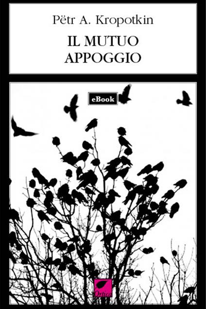 Il mutuo appoggio - Pëtr A. Kropotkin,Camillo Berneri - ebook