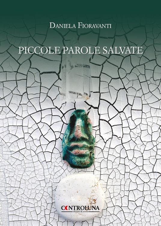 Piccole parole salvate - Daniela Fioravanti - copertina