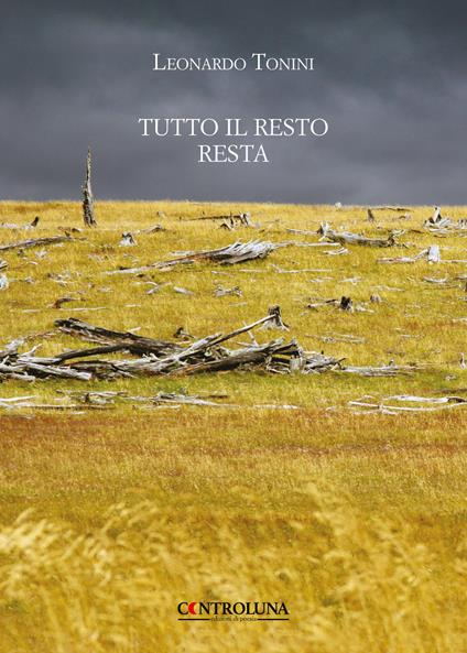 Tutto il resto resta - Leonardo Tonini - copertina